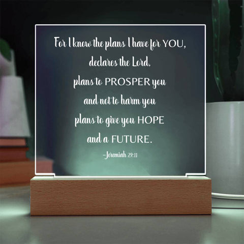 For I Know The Plans I Have For You Jeremiah 29:11 Plaque With Optional Color LED
