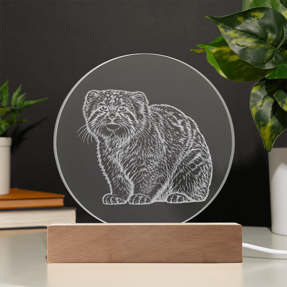 Pallas Cat Engraved Acrylic Lighted Plaque
