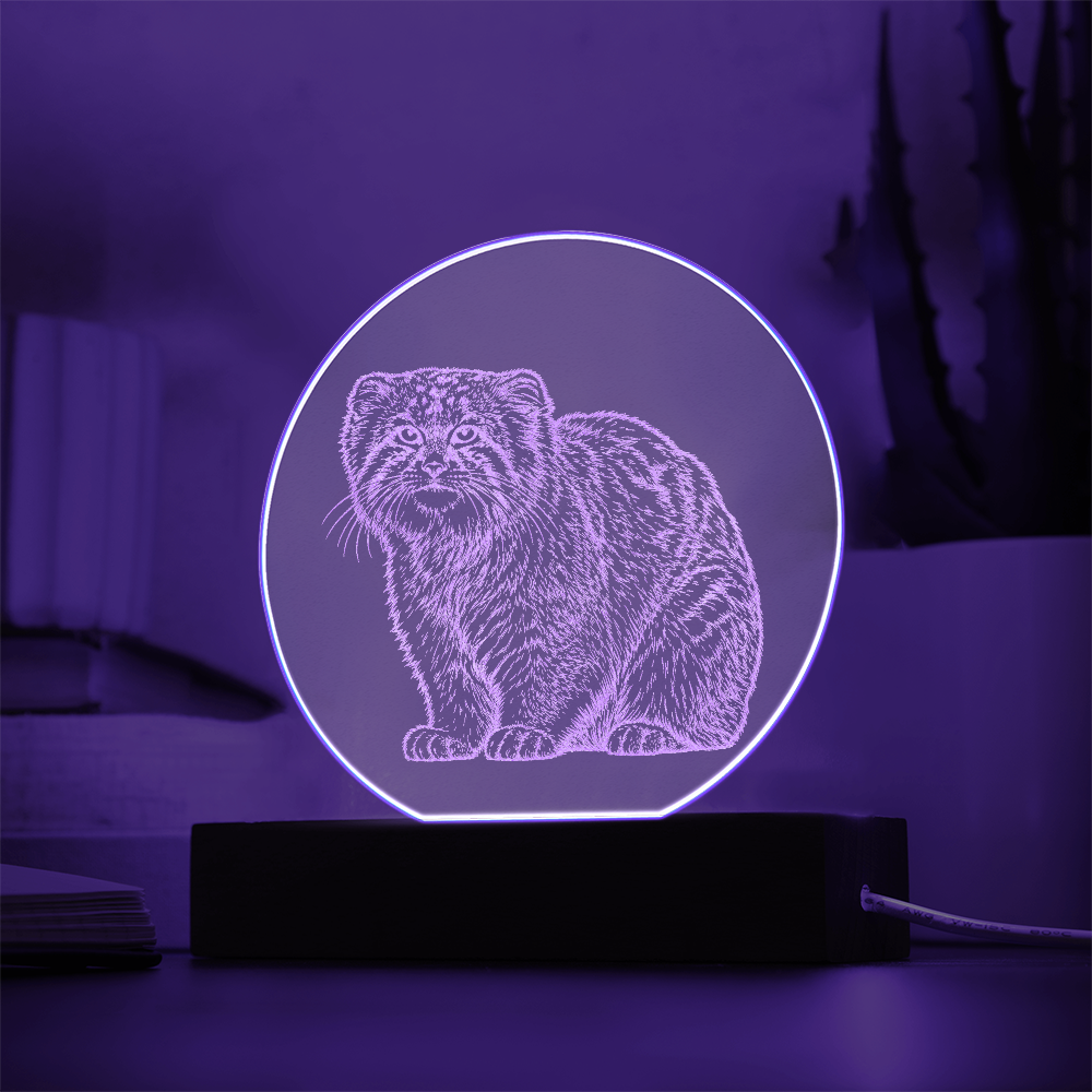 Pallas Cat Engraved Acrylic Lighted Plaque