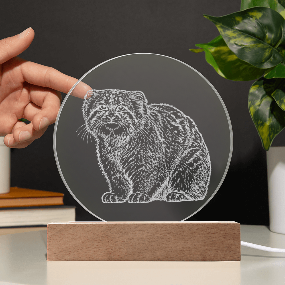 Pallas Cat Engraved Acrylic Lighted Plaque
