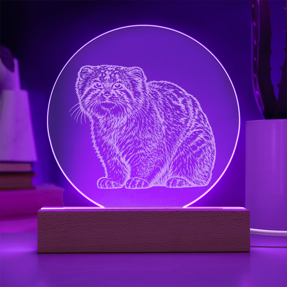 Pallas Cat Engraved Acrylic Lighted Plaque