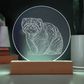Pallas Cat Engraved Acrylic Lighted Plaque