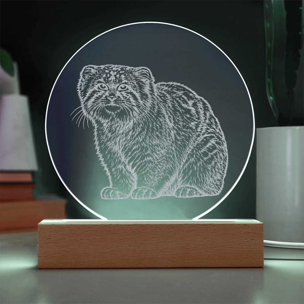 Pallas Cat Engraved Acrylic Lighted Plaque