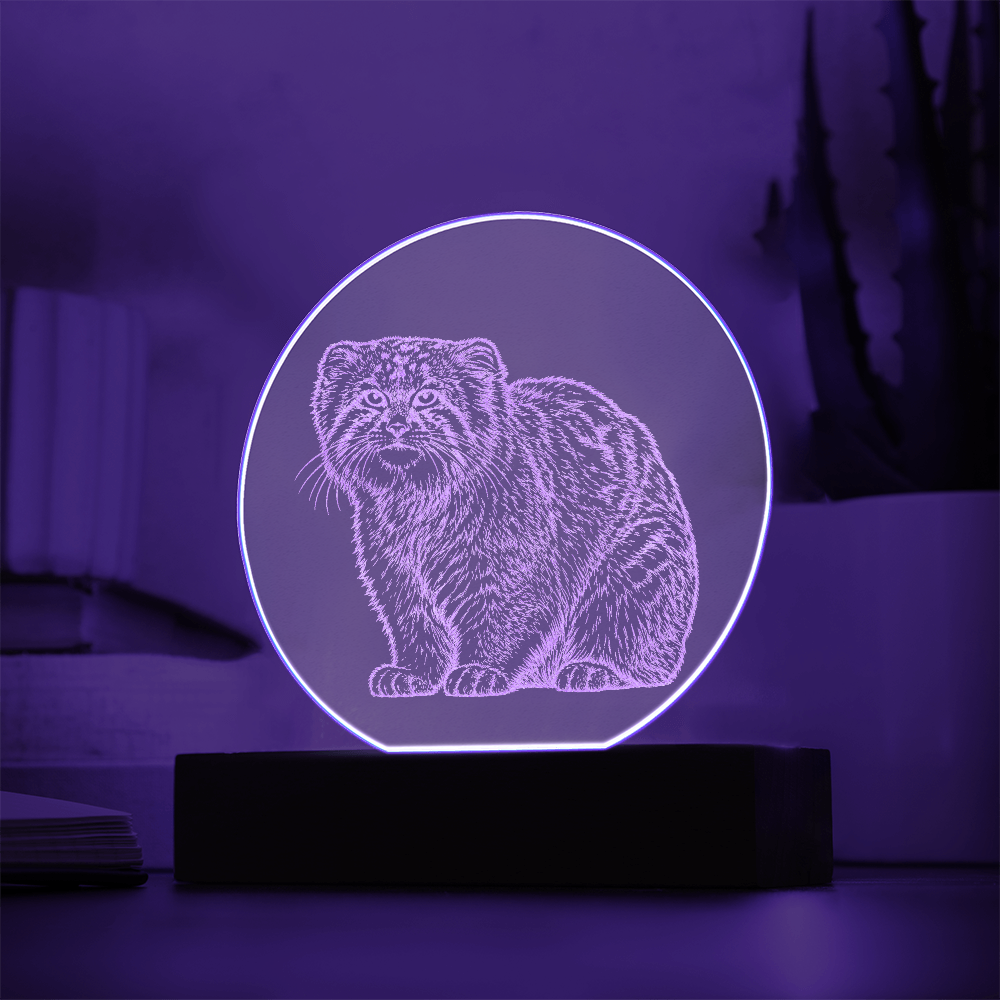 Pallas Cat Engraved Acrylic Lighted Plaque