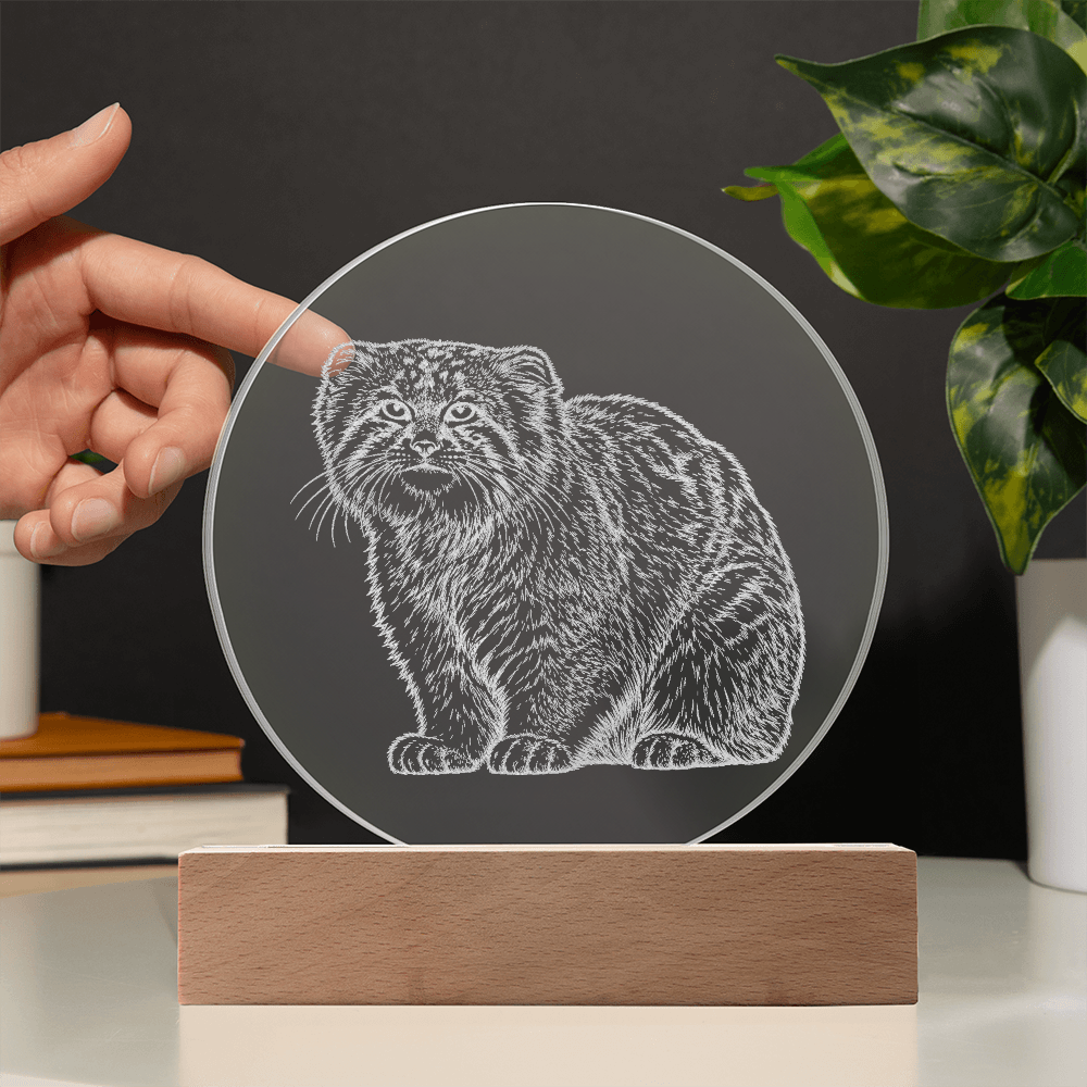 Pallas Cat Engraved Acrylic Lighted Plaque