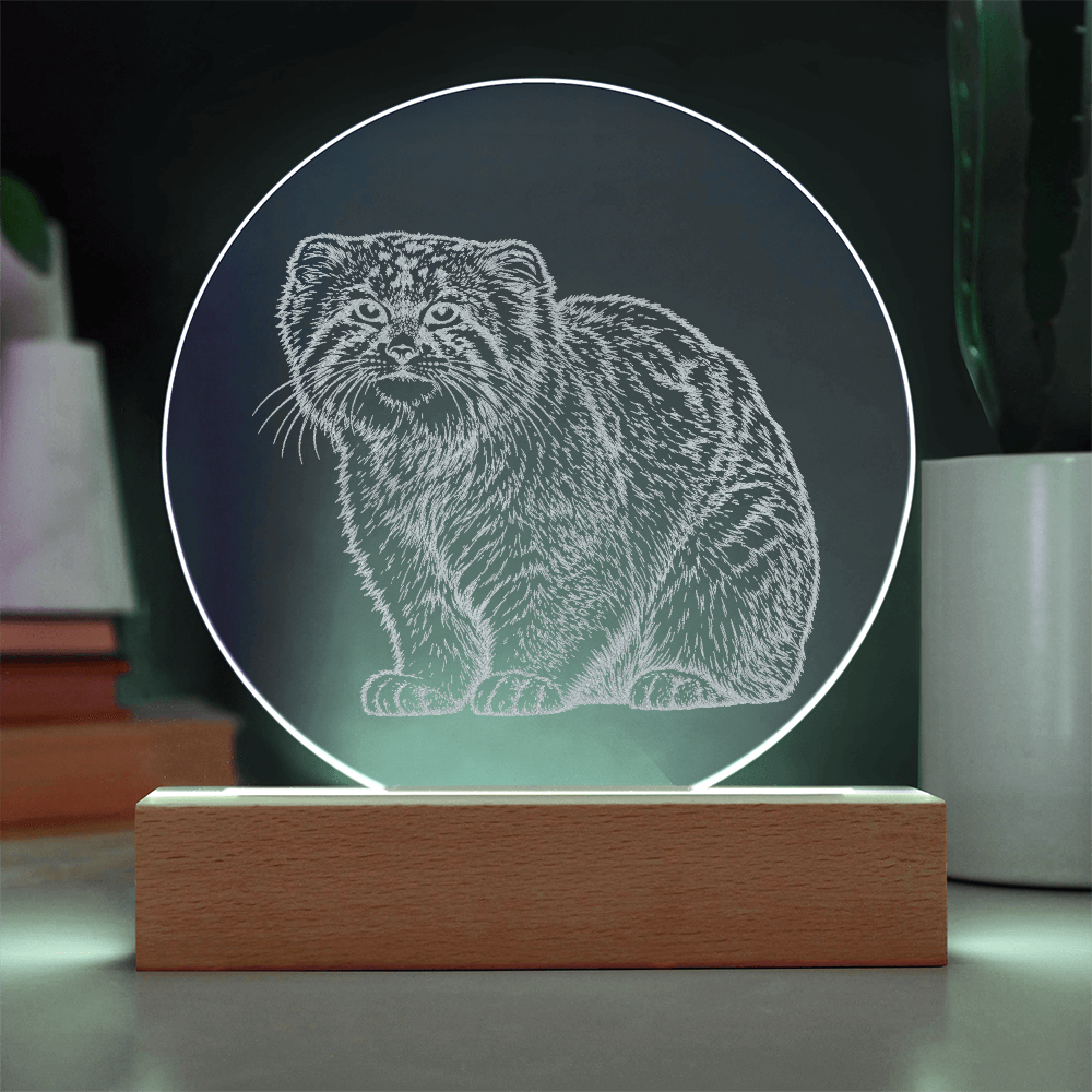 Pallas Cat Engraved Acrylic Lighted Plaque